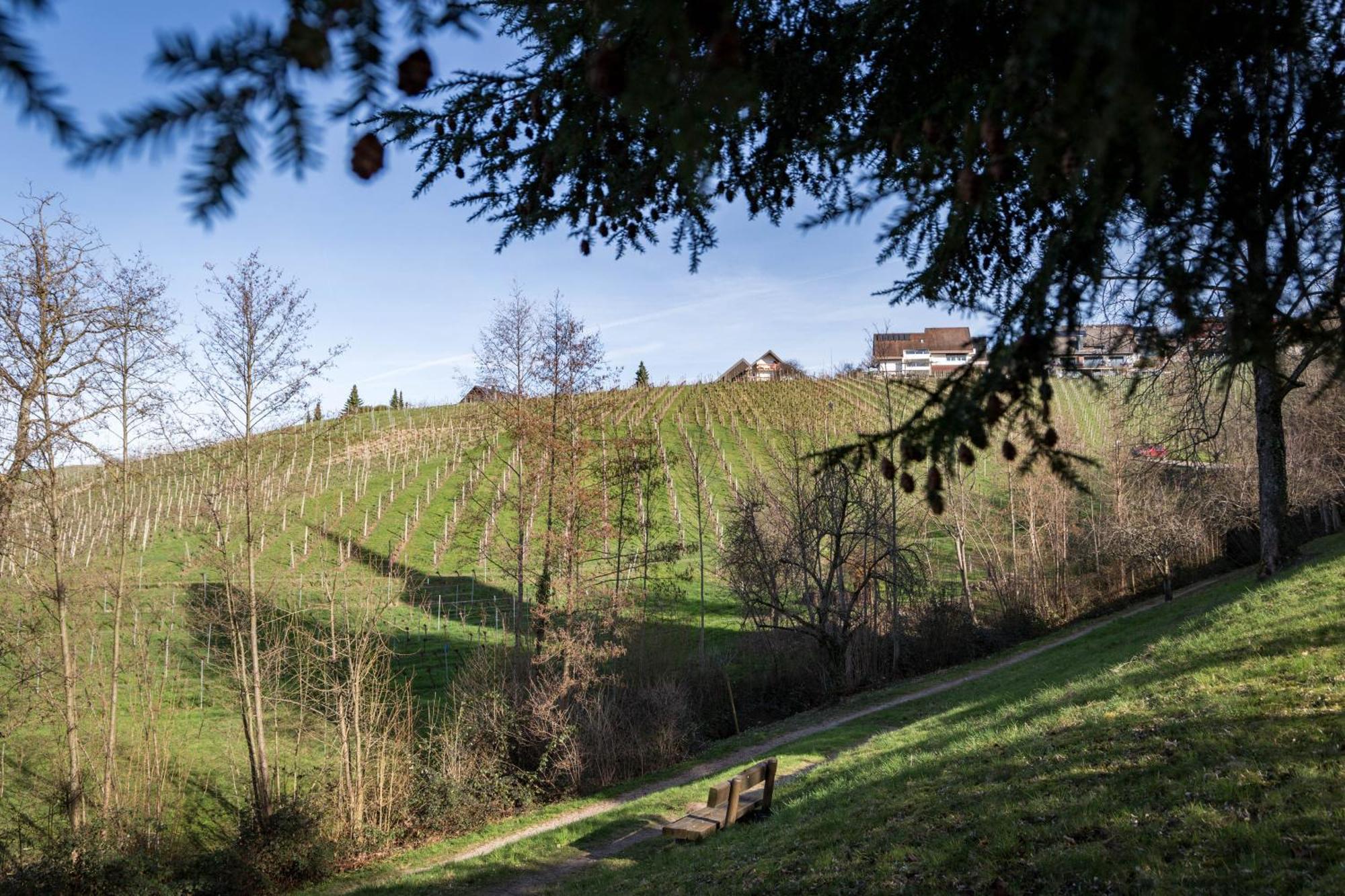 Living Timeless - Adler Apartments Sasbachwalden Exterior foto