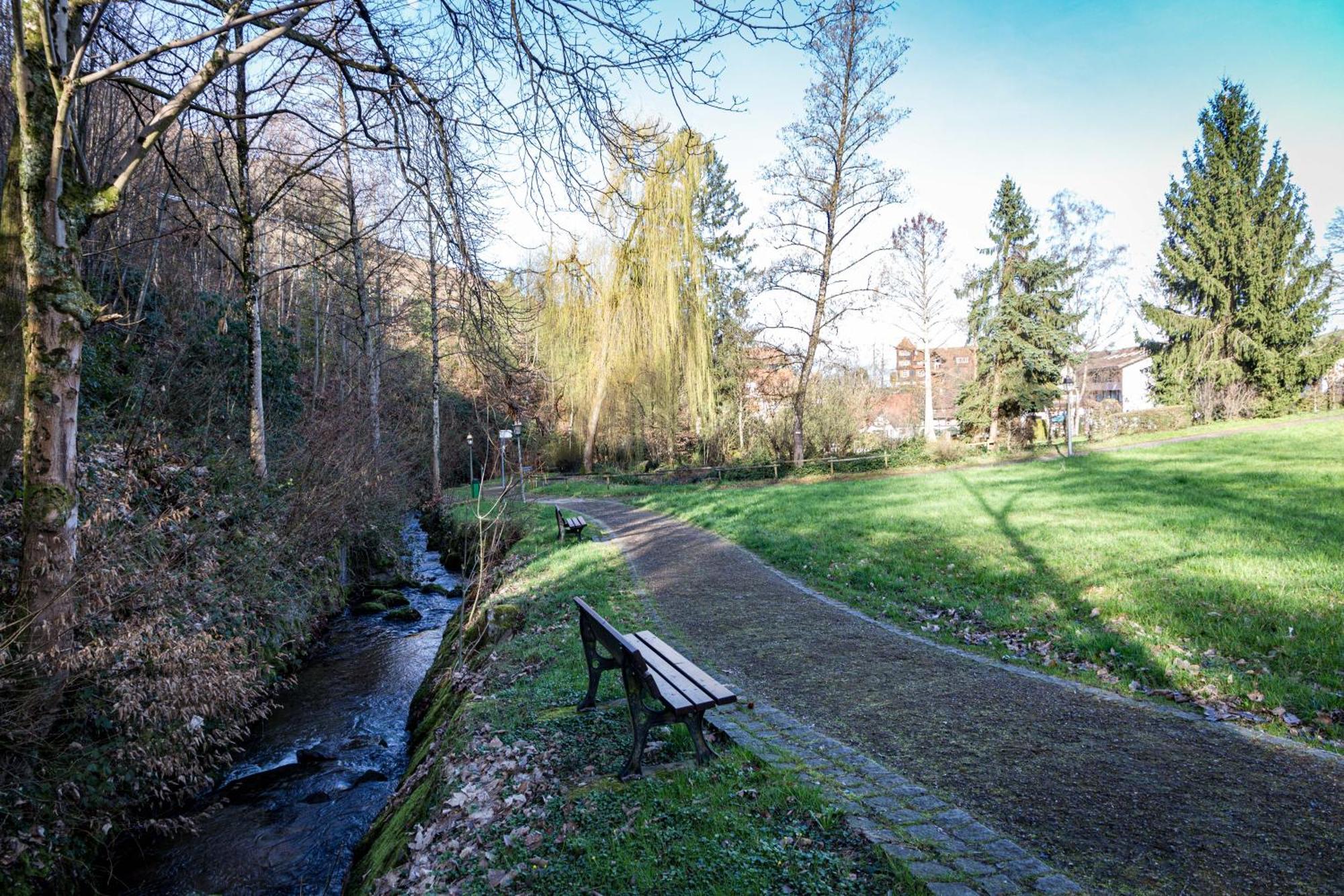 Living Timeless - Adler Apartments Sasbachwalden Exterior foto