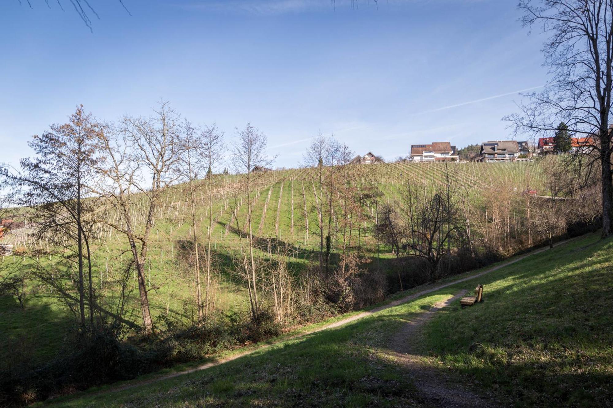 Living Timeless - Adler Apartments Sasbachwalden Exterior foto